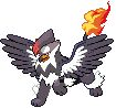 Griffon