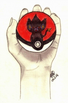 Luxray's Poké Ball