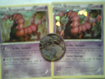LES CARTES