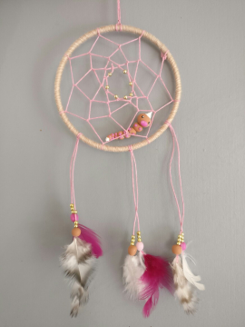 Dreamcatcher aspicot