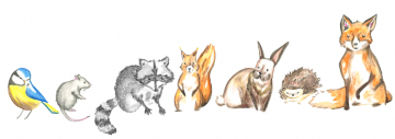 Je préfère les crayons aquarellables !