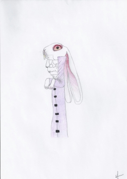Le lapin ! 