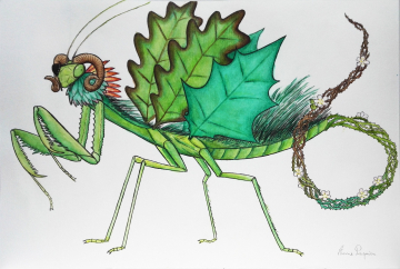 Dragon mante