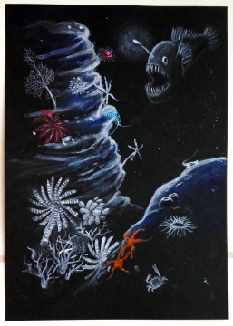 Abysses et plantes carnivores