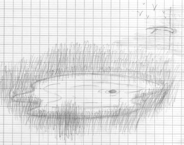 Une mare