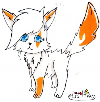 Chat