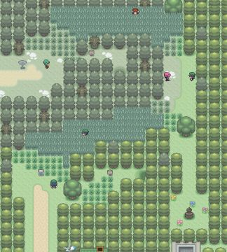 Route 325