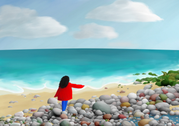 Plage : Roches et Algues