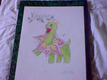 Meganium colorier