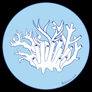 Inktober 20 : coral