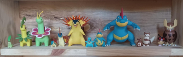 1ère partie des pokemon de Jotho