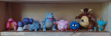 10ème partie des Pokémon de Kanto 