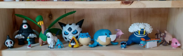 8ème partie des pokemon de Hoenn