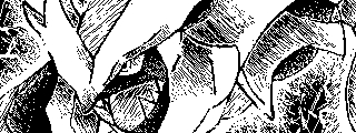 Kyurem Noir.