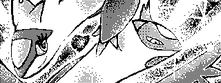 Latios et Latias.
