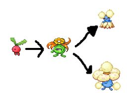 FUSIONS SYMPAS