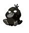 Un pokémon obscur