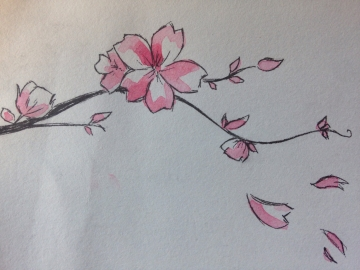 Sakura