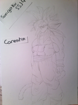 Son Goku SSJ4