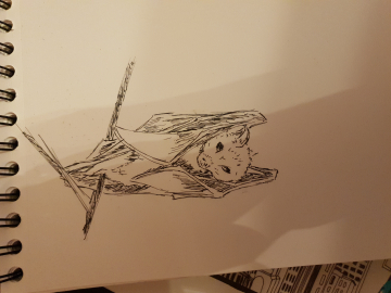 quelques animaux 