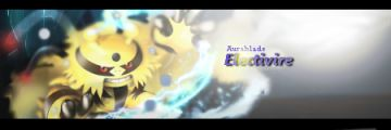 Signature Electivire