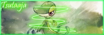 GFX : Tsutaaja !