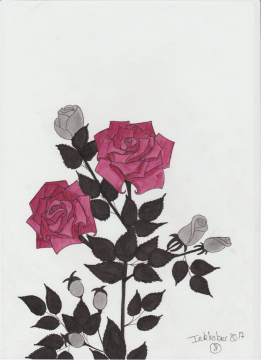 Roses