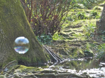 ~ La bulle face au monde 
