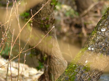 ~ Un environnement invisible 