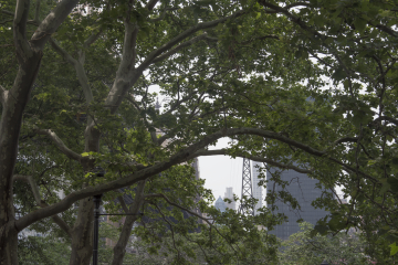 Entre Nature et Building