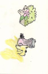 shaymin et hipodocus