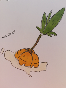 Petite chose n°2 : Kokoplat V1