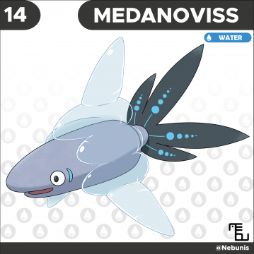 Jour 14 : Médanoviss