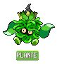 Plentiroi