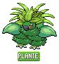 Florus