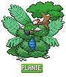 Floruzor