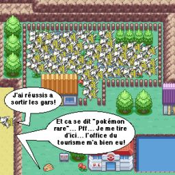 Vous avez dit "Pokémon rare"?