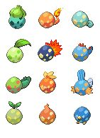 Oeufs de Starters