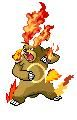 ursaring : type feu