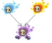 les evolutions