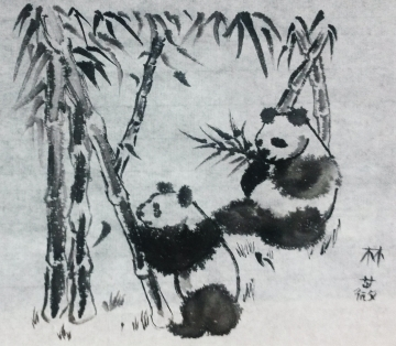 Pandas & Bamboos