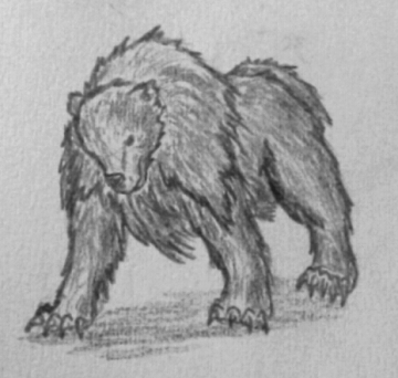 Day 002 - Ursaring