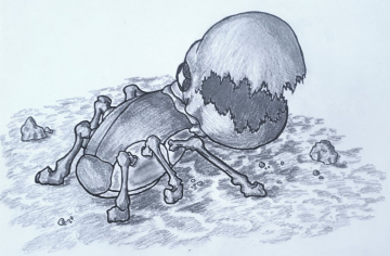 Kraknoix - Draw Me A Pokémon