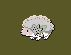 Shaymin forme air.
