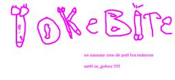le futur site de toranixe