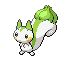 pachirisar