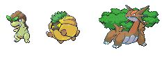 LES DRAGON PLANTE