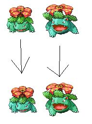 Dévamp et revamp de florizarre