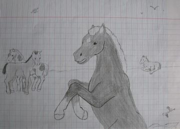 Horses
