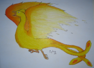 Phoenix flight